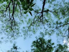 -森林公园(尖草坪区)