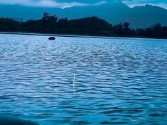 -坝光海滩