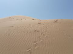 -恩格贝生态旅游区