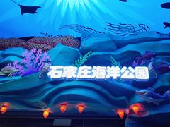 -石家庄海洋公园