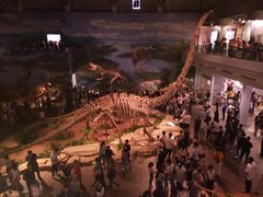 -自贡恐龙博物馆