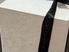 -BLACKSWAN黑天鹅(环球店)