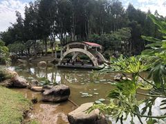 -三水森林公园