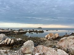 -养马岛旅游度假区