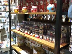 -猫咪博物馆(顶澳仔猫街店)