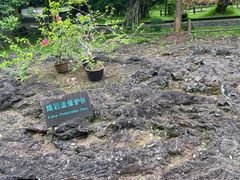 -海口火山口国家地质公园