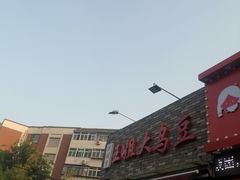 -洪湖里王姐大乌豆