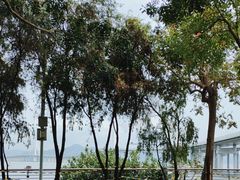 -深圳湾公园(南山区)