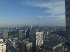 -东京都厅舍