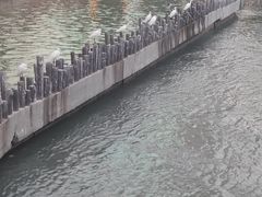 -白鹭洲公园