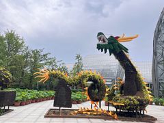 -南山植物园