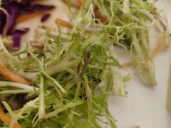 -北京临空智选假日酒店