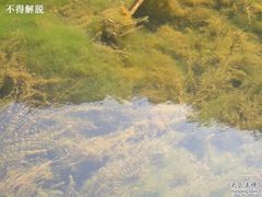 -碓臼峪自然风景区