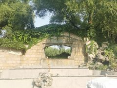 -团结湖公园