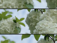 -孝子祠公园