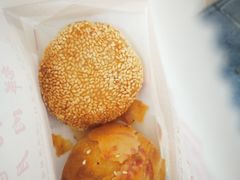 -真老大房鲜肉月饼(南京路步行街店)