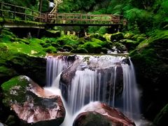 -牛背梁国家森林公园