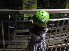 -圣淘沙天际线斜坡滑车