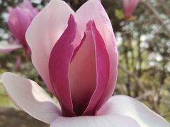 -大兴滨河森林公园