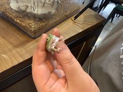 -德川家日本料理(顺义华联店)