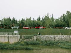 -洨河生态公园