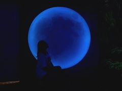 -天津梵高星空艺术馆(天河城旗舰店)