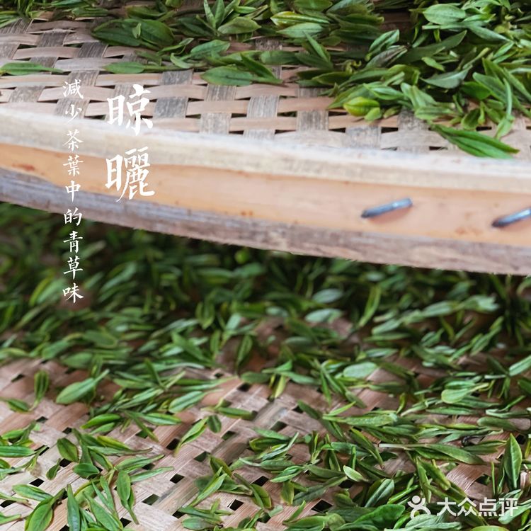 杭州茶园 | 西湖明前龙井