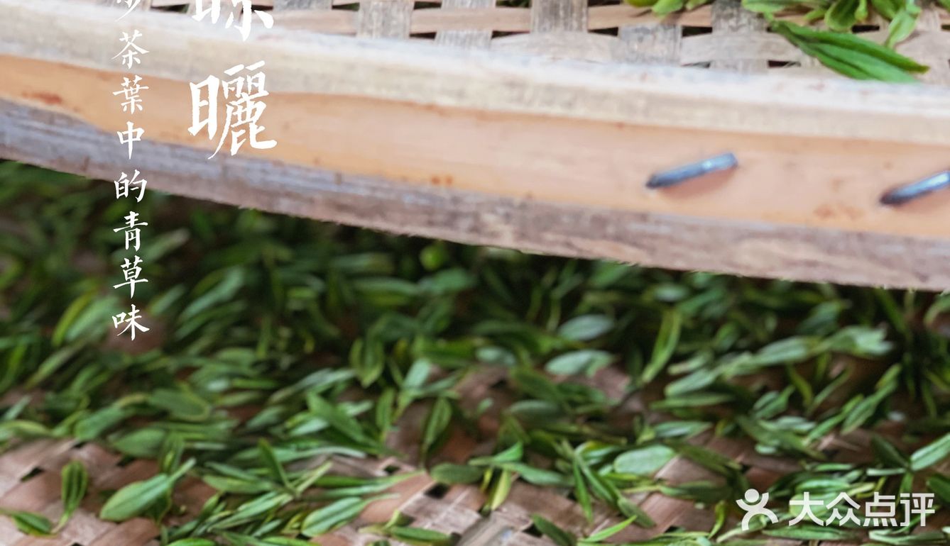 杭州茶园 | 西湖明前龙井