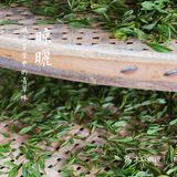 杭州茶园 | 西湖明前龙井