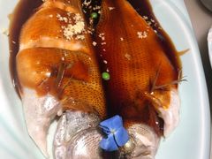 -枚青·临安酒肆(腾飞大厦店)