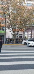 -上海市长宁区妇幼保健院