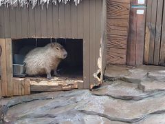 -杭州长乔极地海洋公园