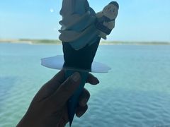 -抱抱地球咖啡馆(国家海洋博物馆店)