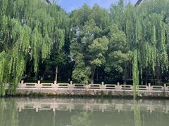 -杭州半山国家森林公园