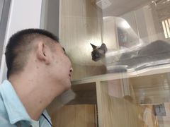 -屋虎猫馆(宝安大仟里店)