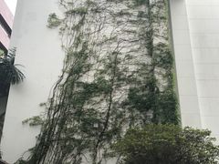 -香港大学
