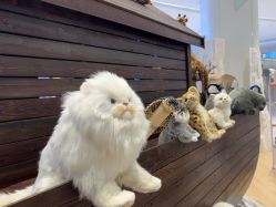 -IMON·HANSA潮玩玩偶毛绒玩具(通州万象汇店)