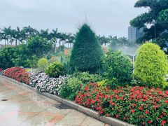 -顺峰山公园