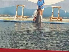 -北戴河圣蓝海洋公园