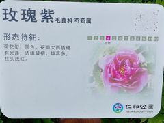 -仁和公园(顺义区)