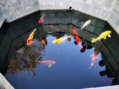 -西安市广仁寺