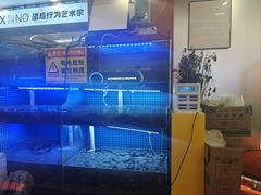 -三子烤羊腿·海鲜(弘阳店)