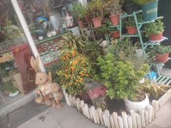 -FEI FEI FLOWER鲜花店·气球派对·宝宝宴布置(虹口德必运动Loft店)