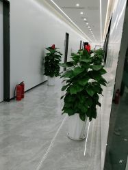 点击看大图 -悟空祛痘