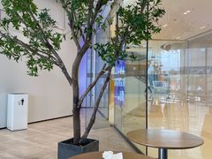 -茶百道(江津吾悦广场店)