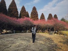 -白塘生态植物园