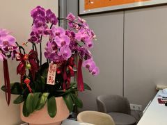 -艾博士·经络·推拿·正骨(湖景花园店)