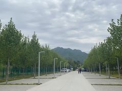 -沣峪口