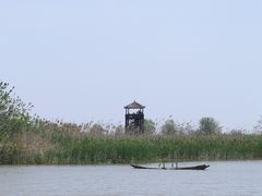 -盐城丹顶鹤湿地生态旅游区