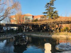 -北京市海淀外国语实验学校